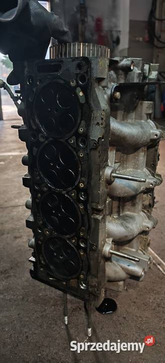 Blok 20tdci Qxwa głowica wielkopolskie