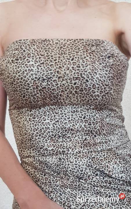 sukienka sexy wieczorowa zwierzęcy motyw Spódnice i sukienki świętokrzyskie Kielce