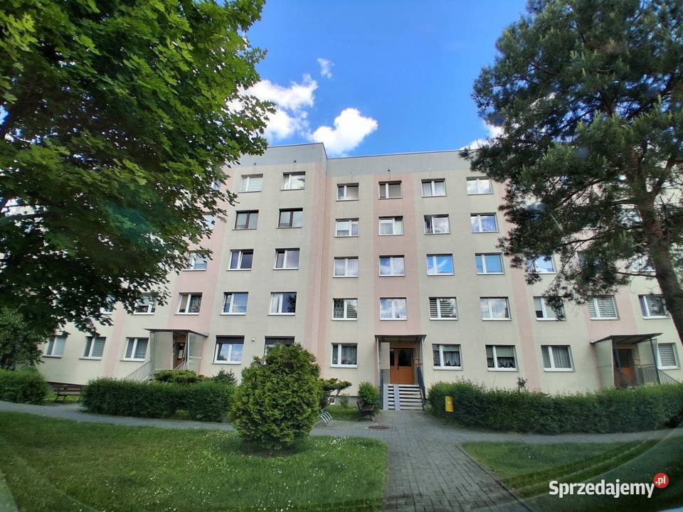 MOŻLIWOŚĆ ZAKUPU OBCOKRAJOWCÓW 3 pokojeniski Liczba pokoi 3 śląskie Żory
