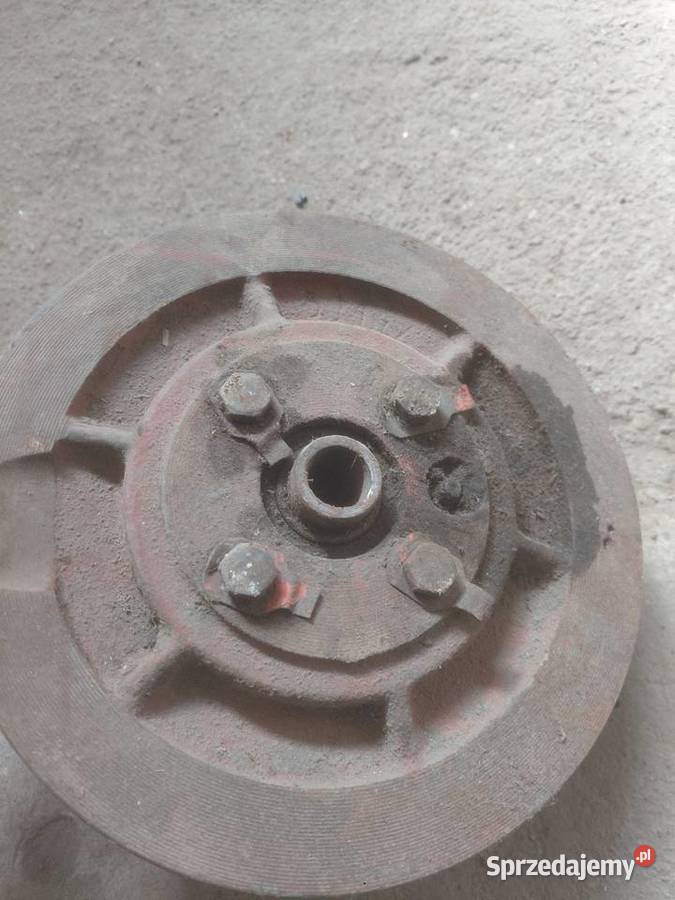 Wariator bizon z056 Wolibórz