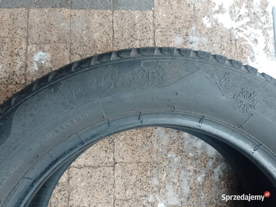 Wielosezonowe Kormoran 16 wielkopolskie Piła