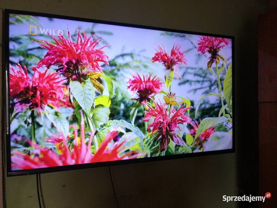Panasonic TX-55GX550E 4k smart  tv rok 2019r stan idealny.
