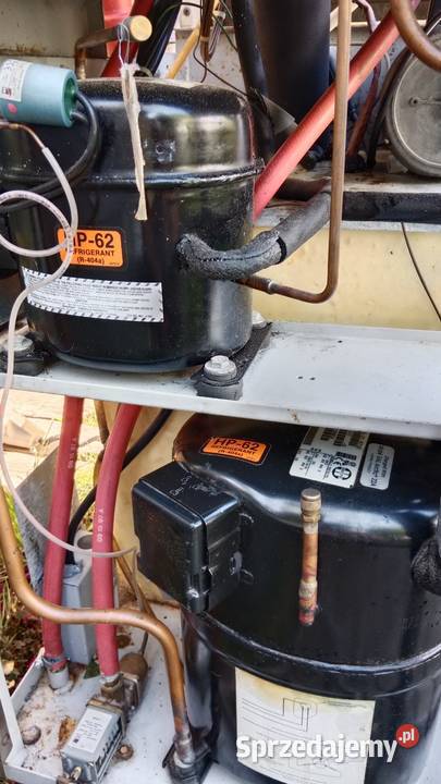 Maszyna do lodów włoskich kręconych Taylor Gdańsk