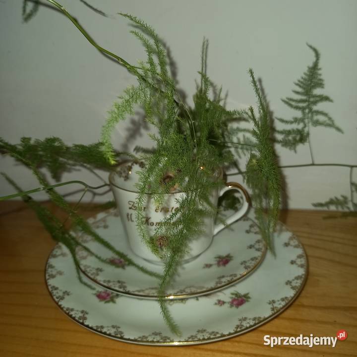 Filiżanka komunijna Pozostałe śląskie Częstochowa sprzedam