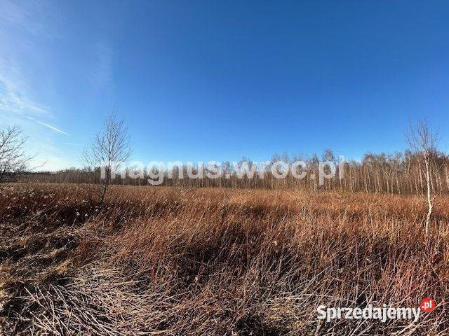 Oferuję działke inwestycyjną w Jerzmanowie Wrocław