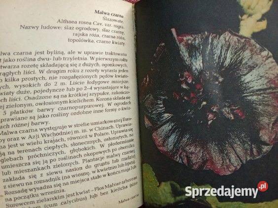 Zioła Mikołajczyk Wierzbicki 1983 zioła rosliny Łódź