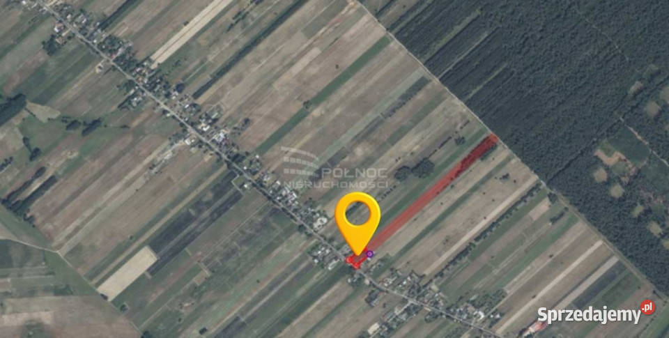 Tanie i ciche siedlisko na wsi z potencjałem Rok budowy 1950 Sprzedaż Nowe Hołowczyce