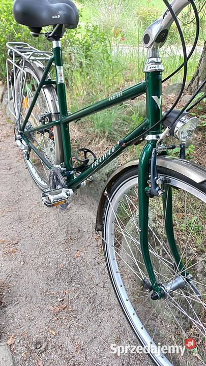 Rower Miejski Damski Villiger Manitora Damka Wołów