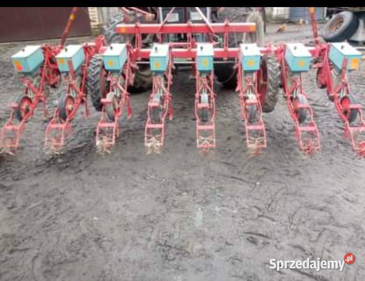 Siewnik do buraków Pławanice