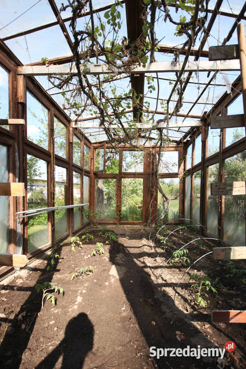 Zadbana działka ROD Ławica 506m2