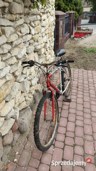 Sprzedam rower gurala Stęszew
