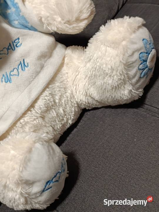 miś pluszowa zabawka maskotka pluszak z napisem wielkopolskie Poznań