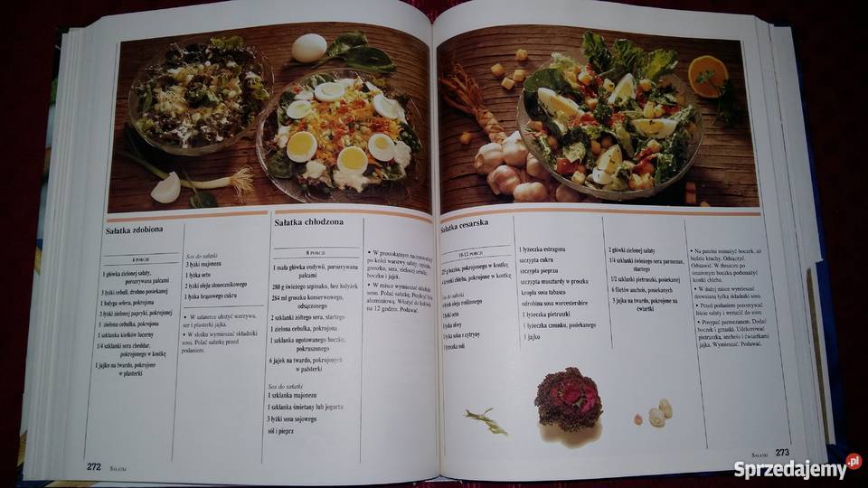 Co dziś na obiad książka kucharska praca Łódź sprzedam