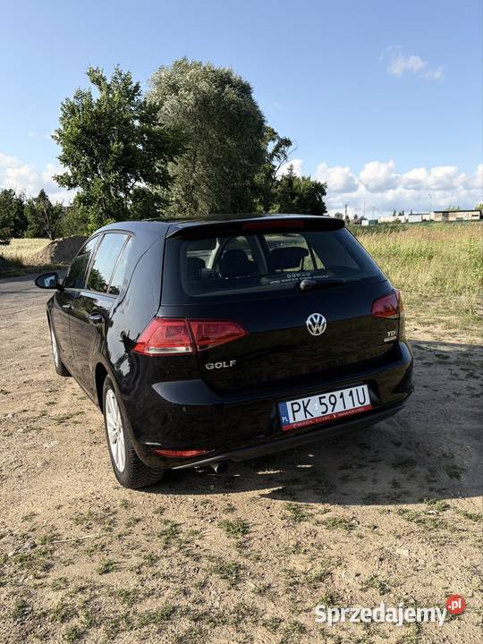 Volkswagen golf 7 Rok produkcji 2014 Kalisz