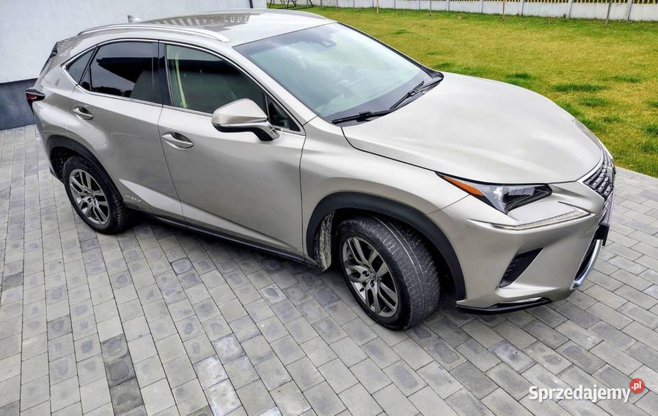 Lexus NX300h super stan mały przebieg SUV sprzedam
