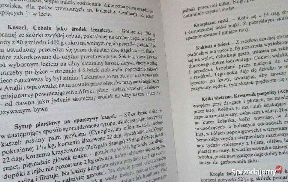 Złota encyklopedia naszej babci Przewodnik dom i ogród Łódź sprzedam