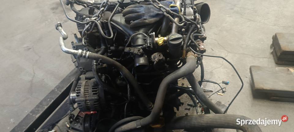 sprzedam silnik 20 TDCi ford mondeo MK4 2010 to Koło