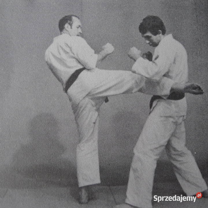 Collins Shodan Kyokushin KarateKnockBudo Radom sprzedam