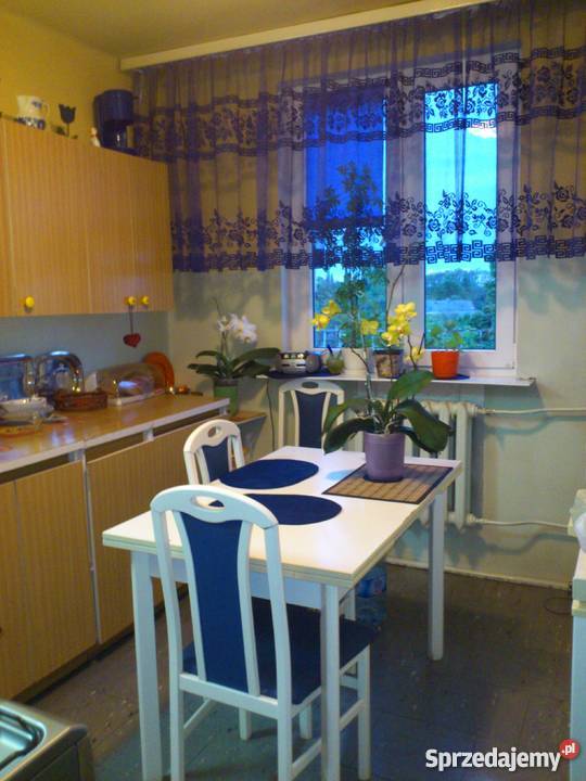 mieszkanie koło Ciechocinka Waganiec