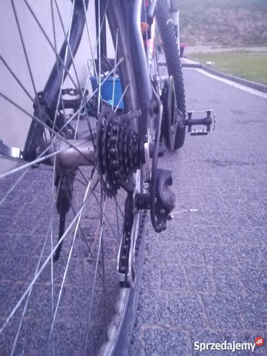 Rower Author Basic 26