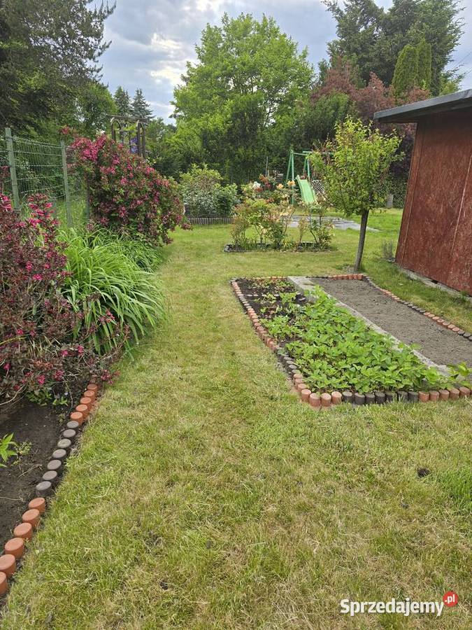 Sprzedam prawo użytkowania działki ROD WILANÓW Warszawa sprzedam