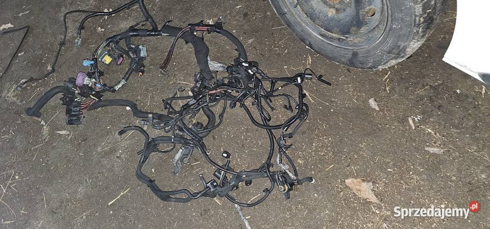 Instalacją silnika opel vivaro b 16 bi turbo Pozostałe Części samochodowe Zadzim sprzedam