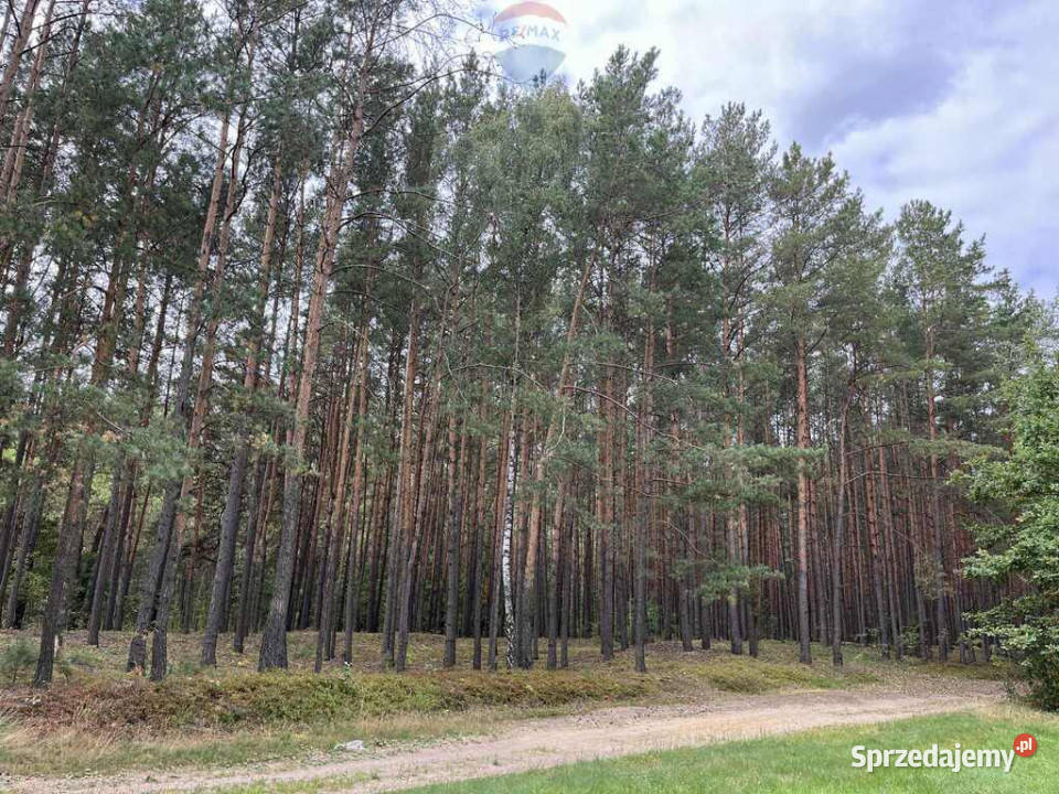 Działka siedliskowa