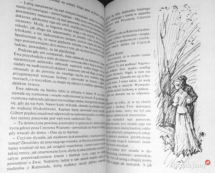 Wymarzony dom Ani Lucy Maud Montgomery