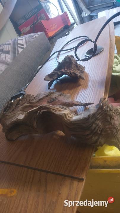 Akwarium z szafką 300 l i akcesoria Pozostałe