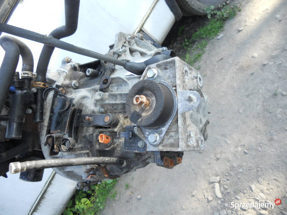 Renault Trafic Opel Vivaro 19 Dci silnk skrzynia Pilzno