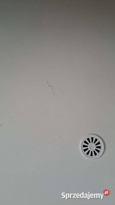 Sprzedam szarą rozkładaną kanapę z 2 poduszkami Łódź sprzedam