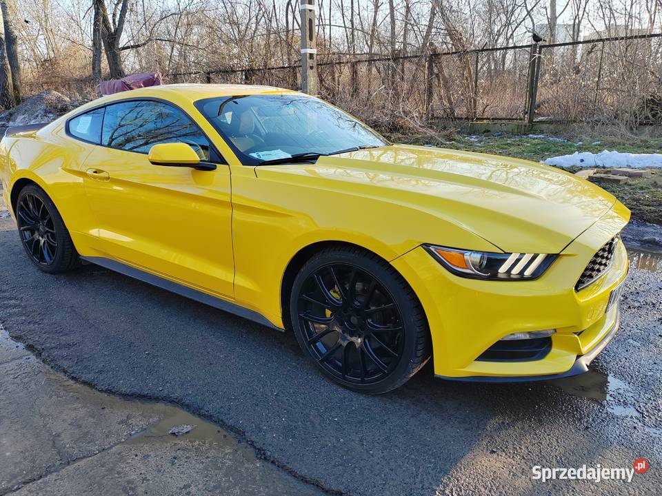 Ford mustang 37 Warszawa