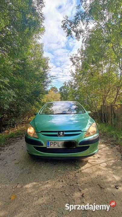 Sprzedam Peugeot 307 16 benzyna benzyna wielkopolskie Zielona Łąka