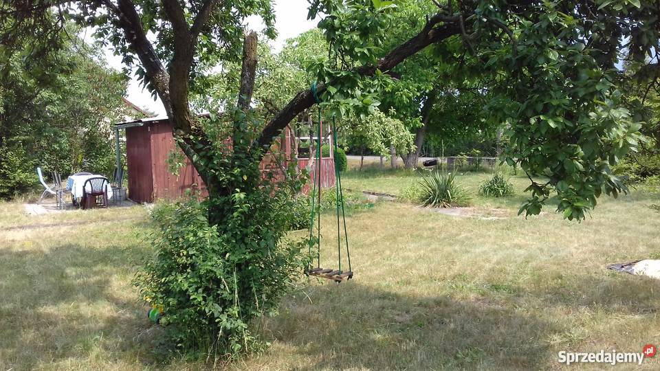 Działka ROD Stokrotka rekreacyjna Opole sprzedam