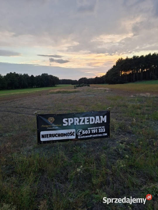 DZIAŁKA INWESTYCYJNA 222 HA KĘPINA 22200m2 wielkopolskie Kępina sprzedam