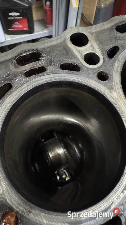 Blok silnika Mercedes Benz 22 cdi OM651 170 Starogard Gdański sprzedam