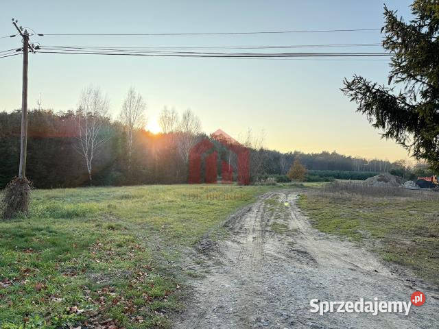 Działka 3000 metrów Kamionka asfalt sprzedam