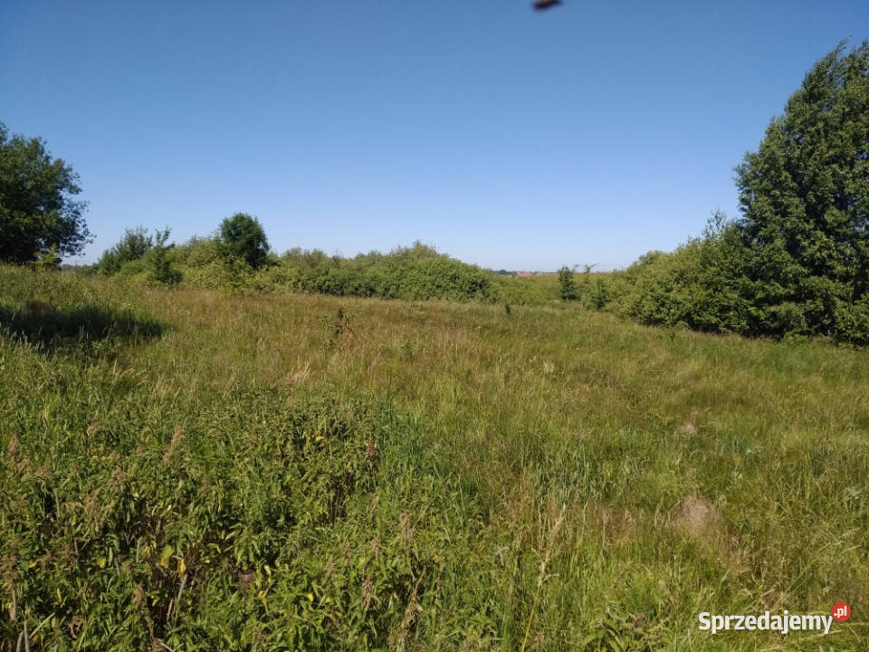 do miasta i do lasu z działki Jesionowo