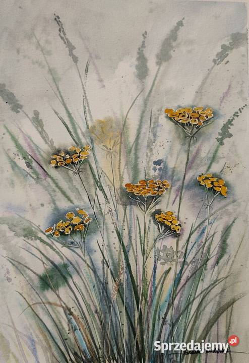 Akwarela Akwarelka Obraz pt Wrotycz pomorskie Gdańsk