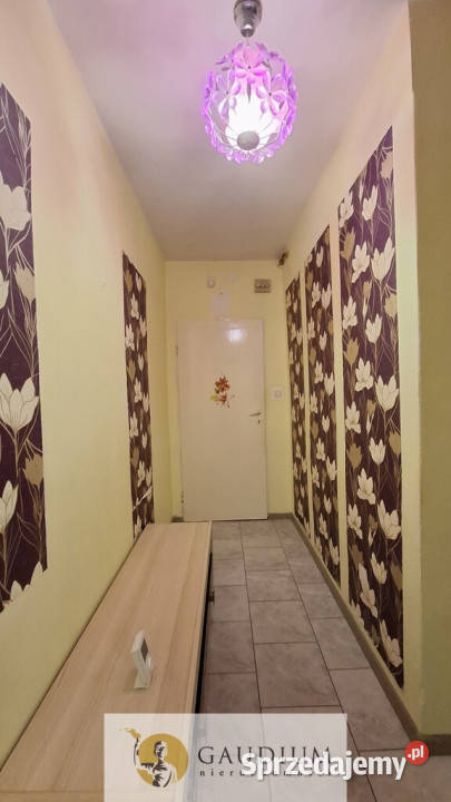 Mieszkanie 38 m2 do remontu Prabuty Sprzedaż