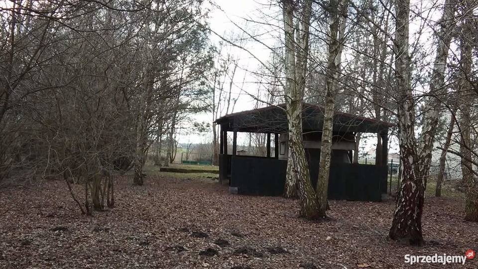 Działka Jeziorem Gopło wielkopolskie