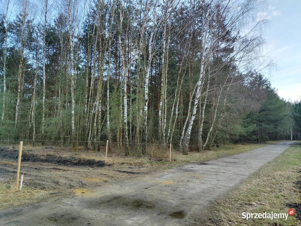 DZIAŁKA BUDOWLANA 980 M2 DĘBNICAROW WIELKOPOLSKI Ostrów Wielkopolski