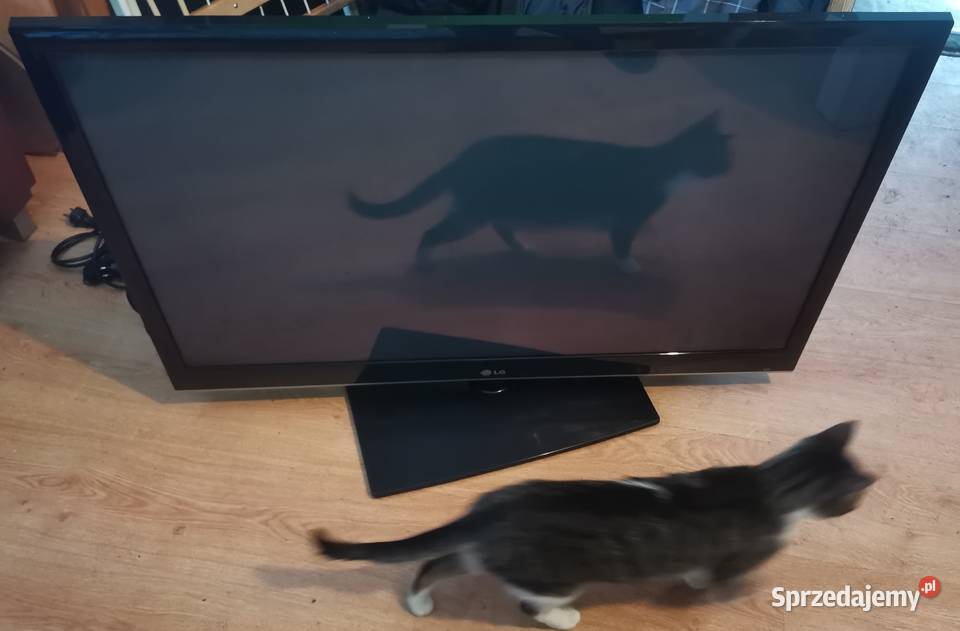 Telewizor TV LG 42 Stan Perfekcyjny 792388990