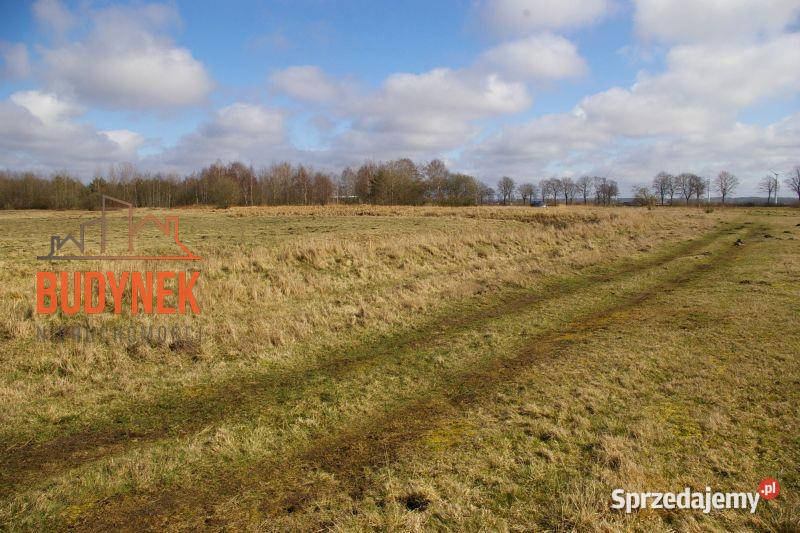 Działka rolna Domasławice