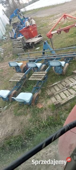 Cyklop polski Sadzarke do rozsady