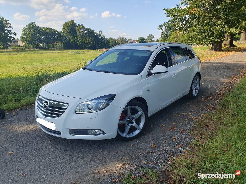 Opel Insignia 16 Turbo 180 2010 Panorama Xenon śląskie Gliwice