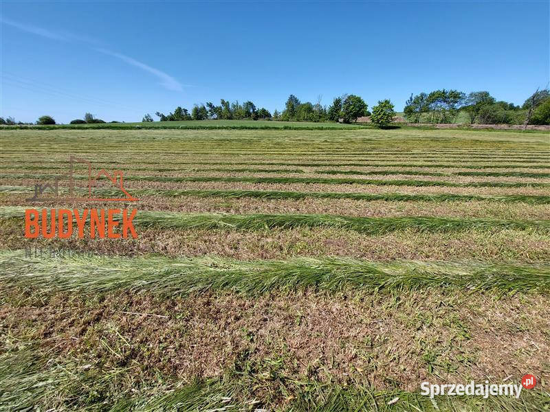 Działka rolna Kopnica 21300m2 zachodniopomorskie