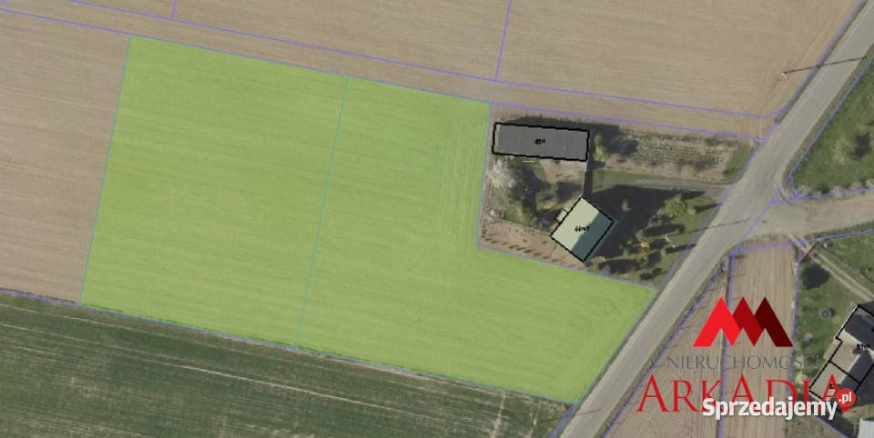 Działka Brzezie 6121m2