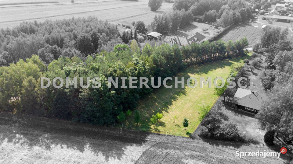Grunt 3561m2 Jaroszki sprzedam