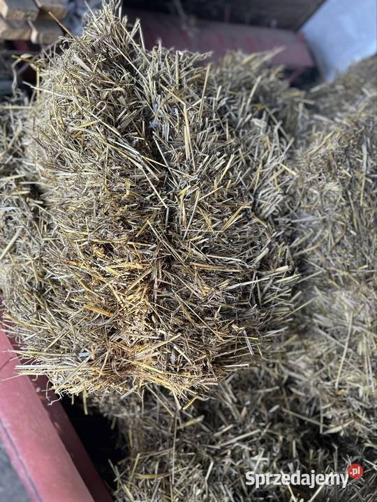 Słoma Owsiana kostka Stobnica